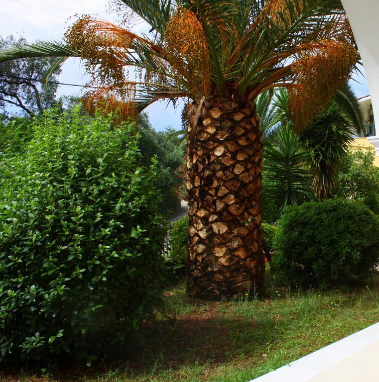 Appartement Lea Family *